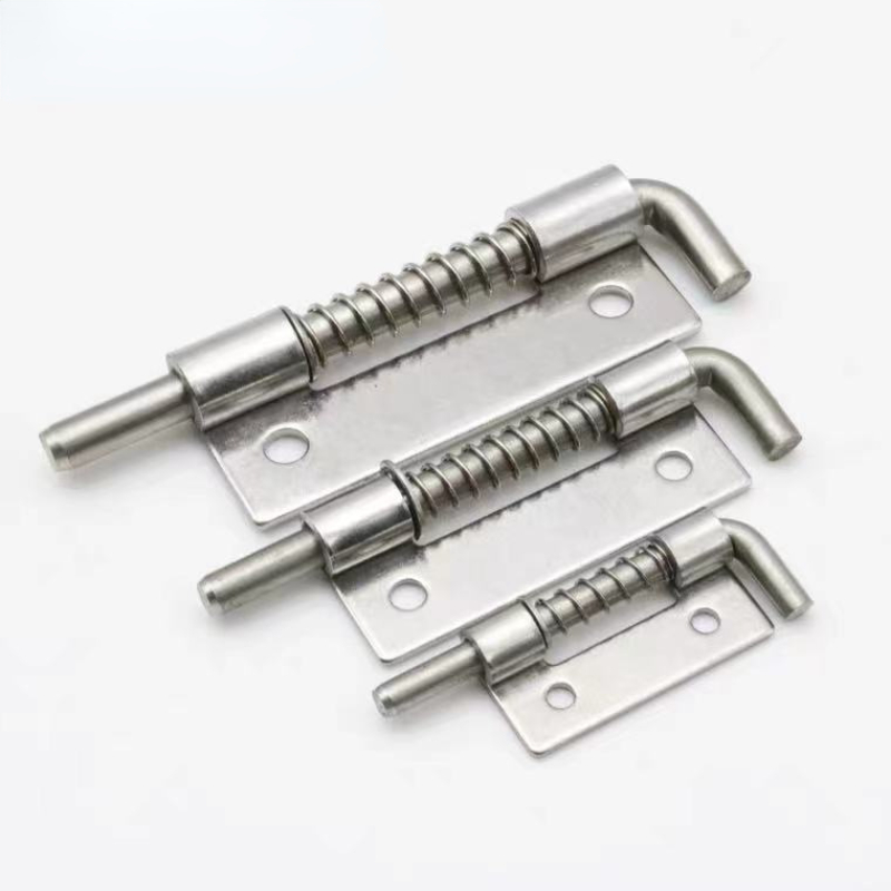 Barrel Bolt Slide - 1 Stuks 304 Roestvrij Staal Lange