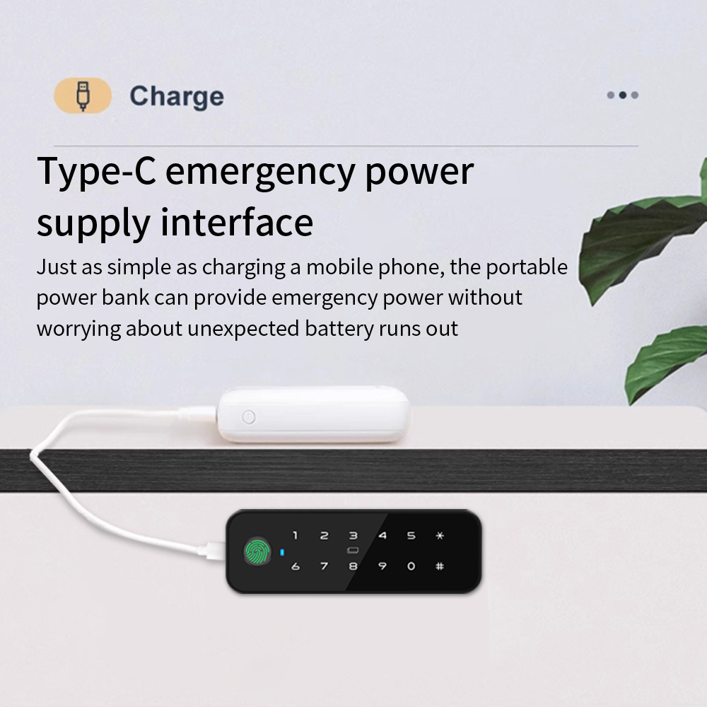 Tuya Bluetooth Smart Houten Ka - Furniture Hardware Bolts recensie en prijs